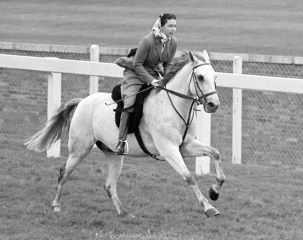 Unusual, unseen or interesting royal photos
