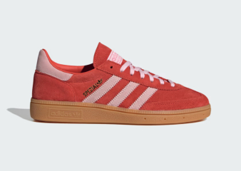 Which trainers?