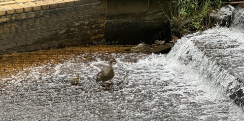 Come and tell me your dull and unexciting news 30: Calmly through the day