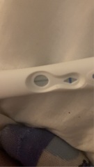 Pregnancy ?
