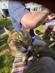 TC part 6.  The Furry Menace.