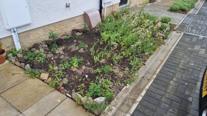 What should I do with my front garden?