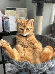 Shall we have a pet thread? Something nice for over the weekend 😁
