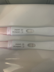 Due February 2025