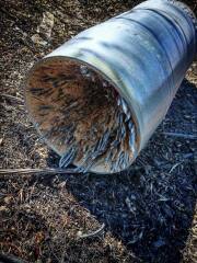 Ukraine Invasion: Part 50