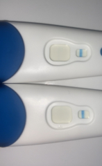 Clear blue positive or evap?