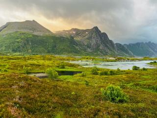 The Great Recovery part 2 - After Cancer treatment what next?