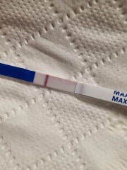 Positive test? Or are my eyes playing tricks!?