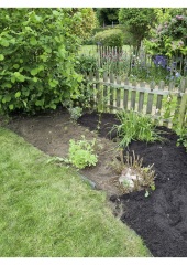 What have you done in the garden today? Part 5