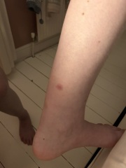 What on earth are these?