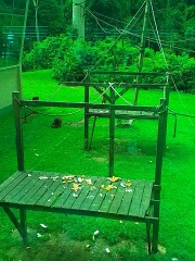 Come and tell me your dull and unexciting news 30: Calmly through the day