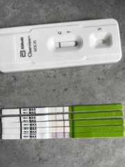 Ovulation and pregnancy yes 6dpo