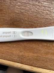 IVF/ICSI May or late April (Part 2)