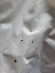 Stain on baby next to me mattress protector - bin?