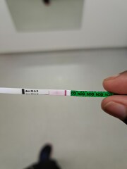 BFP or not