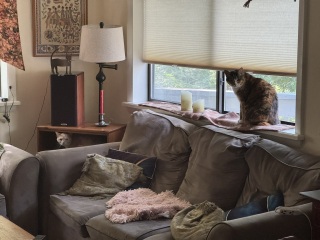 Come and tell me your dull and unexciting news 30: Calmly through the day