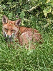 Come and tell me your dull and unexciting news 30: Calmly through the day