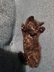 Shall we have a pet thread? Something nice for over the weekend 😁