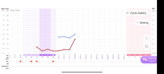 TTC June 2024 ✨♥️