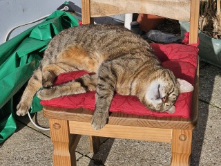 TC part 6.  The Furry Menace.