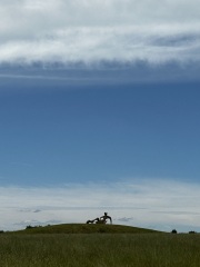 Come and tell me your dull and unexciting news 30: Calmly through the day