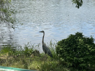 Come and tell me your dull and unexciting news 30: Calmly through the day