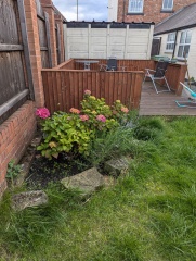 What would you do with this garden?