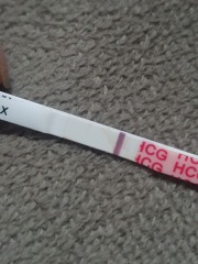 TTC June 2024 ✨♥️