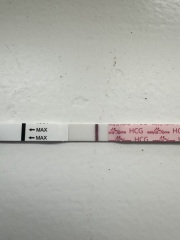 Anyone want to join for two week wait?