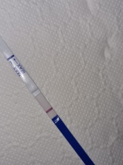 Positive test? Or are my eyes playing tricks!?