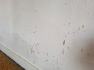 Damaged plasterboard help!