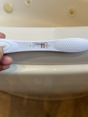 10dpo indent or vvfp?