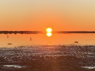 The Great Recovery part 2 - After Cancer treatment what next?