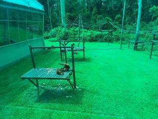 The Great Recovery part 2 - After Cancer treatment what next?