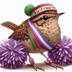 Aston University + gerbil merch thread