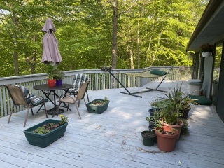 Come and tell me your dull and unexciting news 30: Calmly through the day