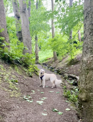 Puppy Survival Thread for New and Old Pups - Spring is around the corner!