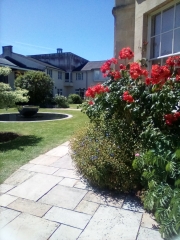 Stage 4 cancer... ? incurable? Thread #2 is here.  In memory of our inspiring, lovely mowly77