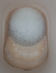 Help......I've made things worse cleaning my toilet.