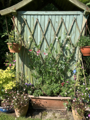 What have you done in the garden today? Part 5