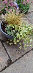 Please help me with my pots