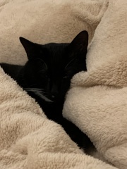 What do you have on the walls in the bedroom?