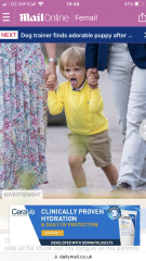 Royal Style and Beauty - Trooping on, through summer and beyond!