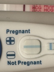 VFLs on indents everyone?