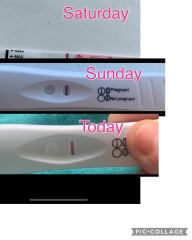 4 weeks line progression