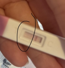 AM I PREGNANT