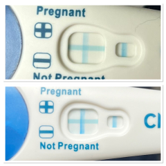 BFP after recent loss