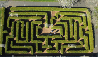 To stop DN going in maze?