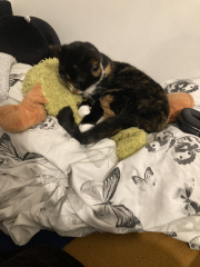 Shall we have a pet thread? Something nice for over the weekend 😁