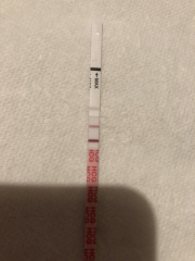 BFP after recent loss